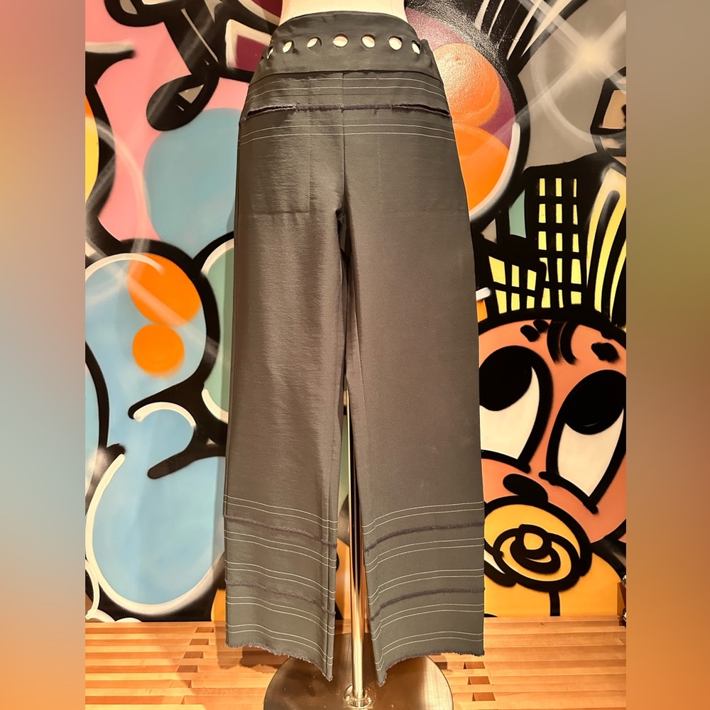 Robert Rodriguez pants with hip perforations and seamed detailing, size 2